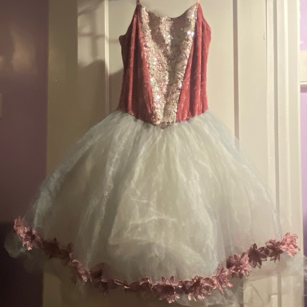 Ballet Dance Costume worn once for Dance recital..XXL